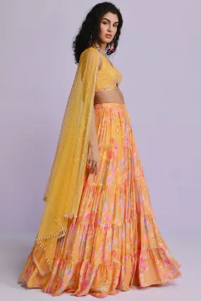 Amira Georgette Frill Lehenga Set